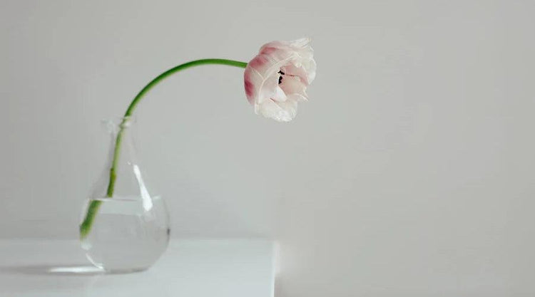 Vase: Style and Charm