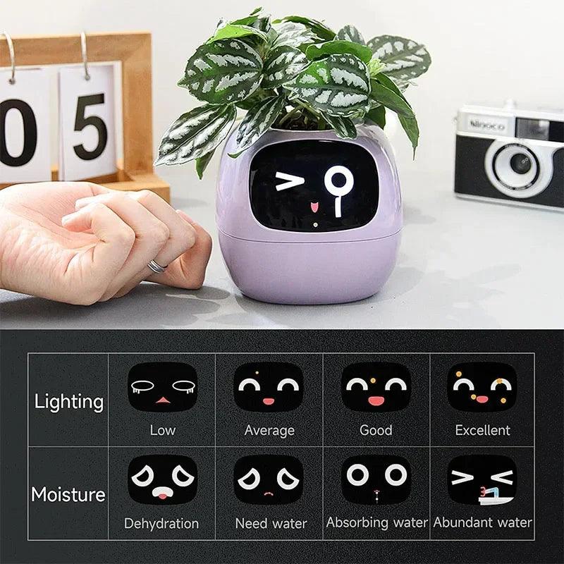 Smart Flowerpots _ cocobear