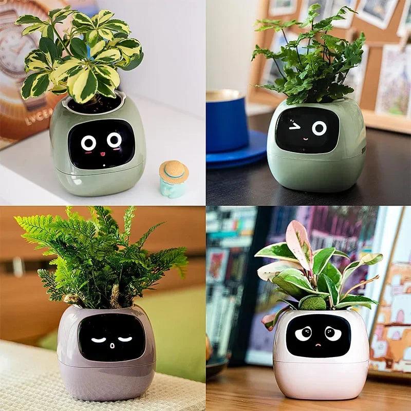 Smart Flowerpots _ cocobear