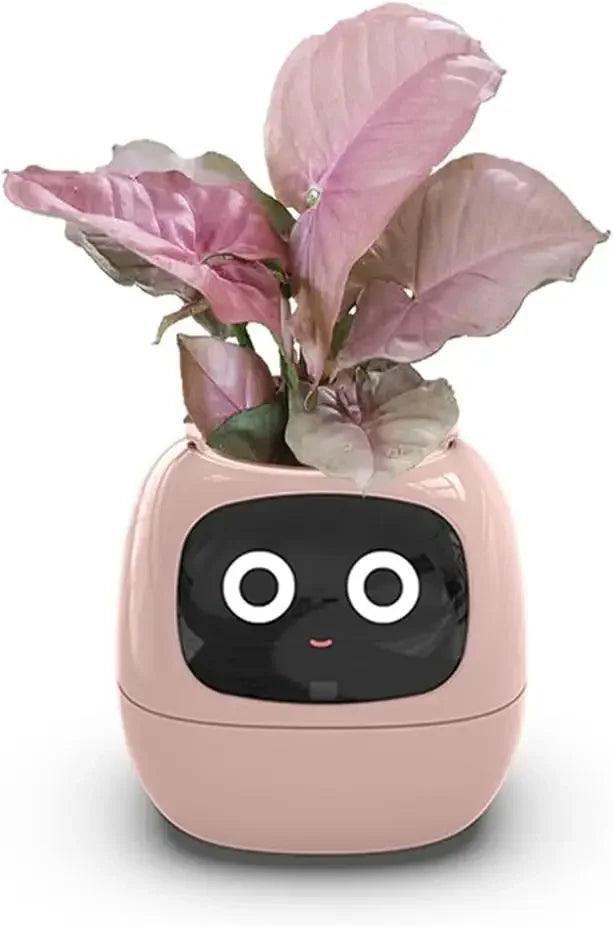 Smart Flowerpots _ cocobear