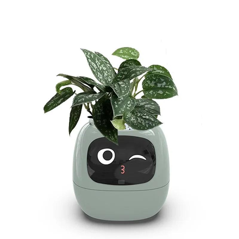 Smart Flowerpots _ cocobear