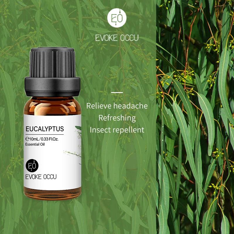 Pure Nature Aroma Essential Oils (10 ml) - cocobear