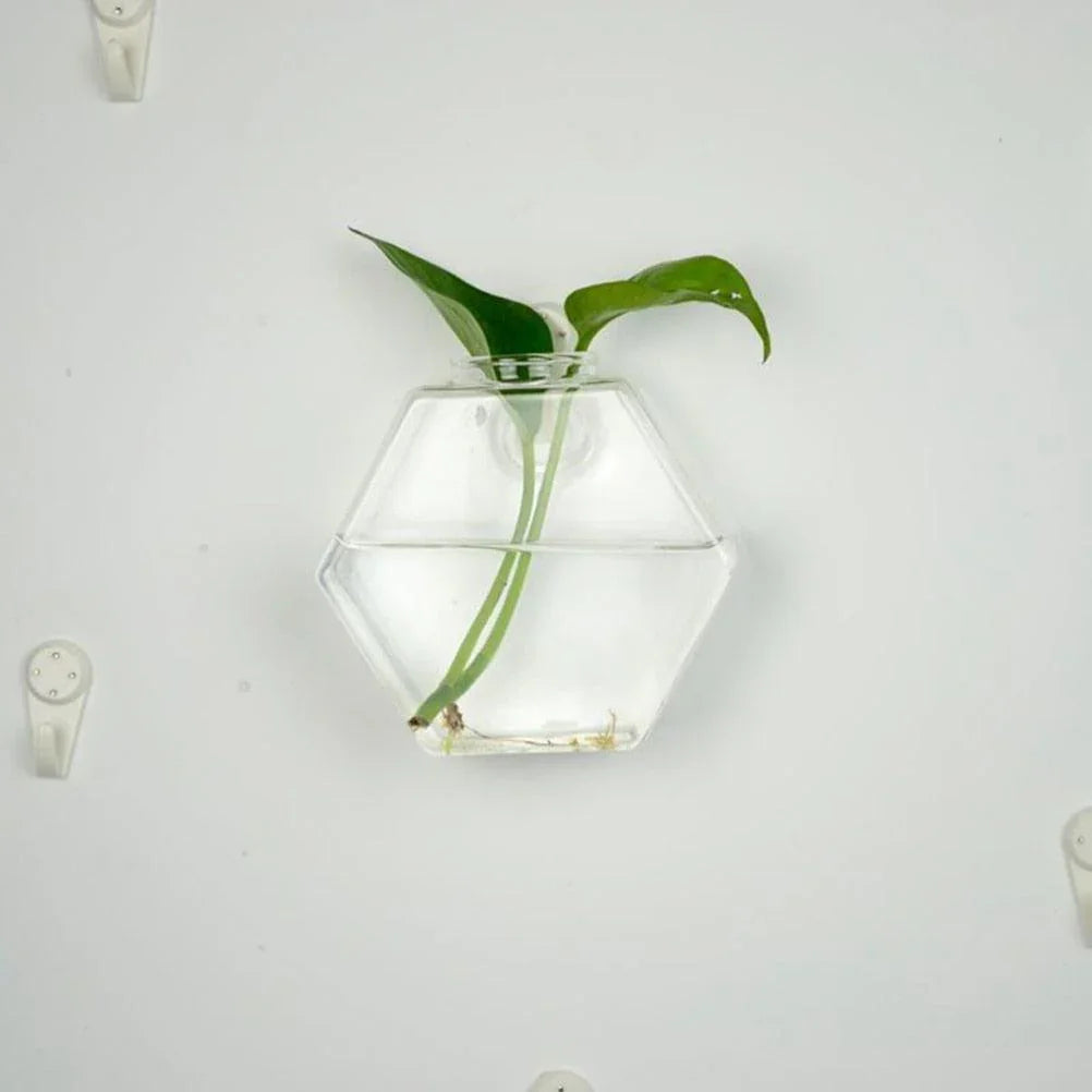 Wall-Mounted Glass Terrarium Planter - cocobear