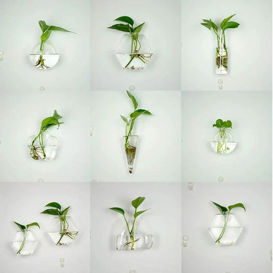 Wall-Mounted Glass Terrarium Planter - cocobear