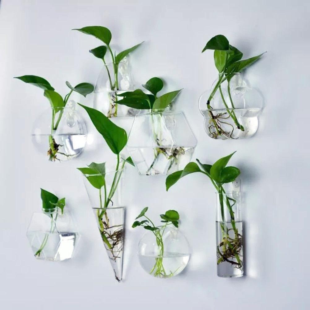 Wall-Mounted Glass Terrarium Planter - cocobear