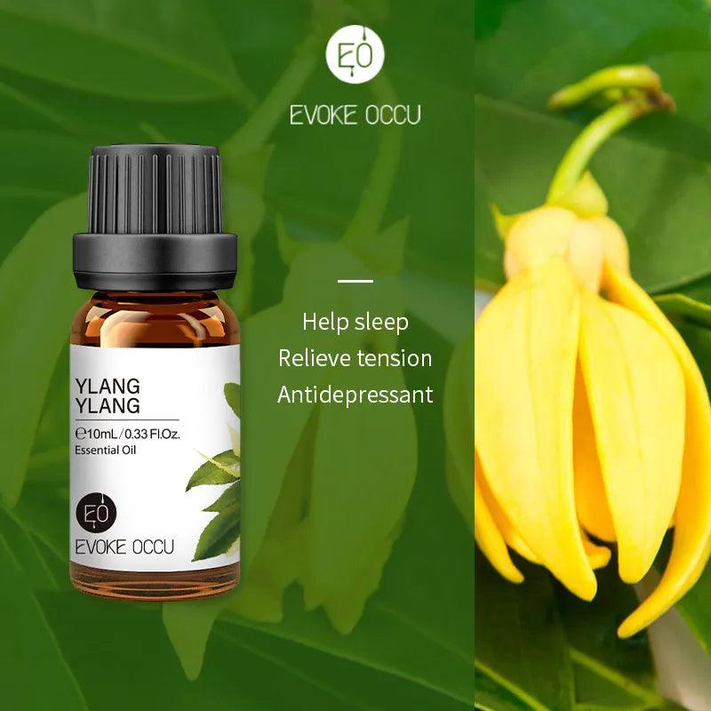 Pure Nature Aroma Essential Oils (10 ml) - cocobear