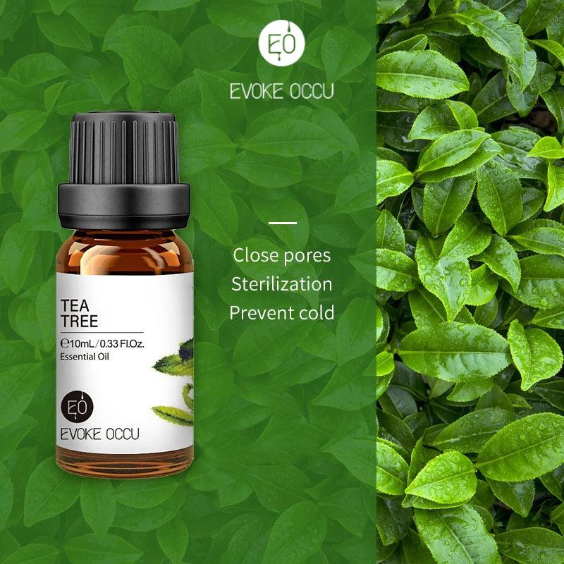 Pure Nature Aroma Essential Oils (10 ml) - cocobear
