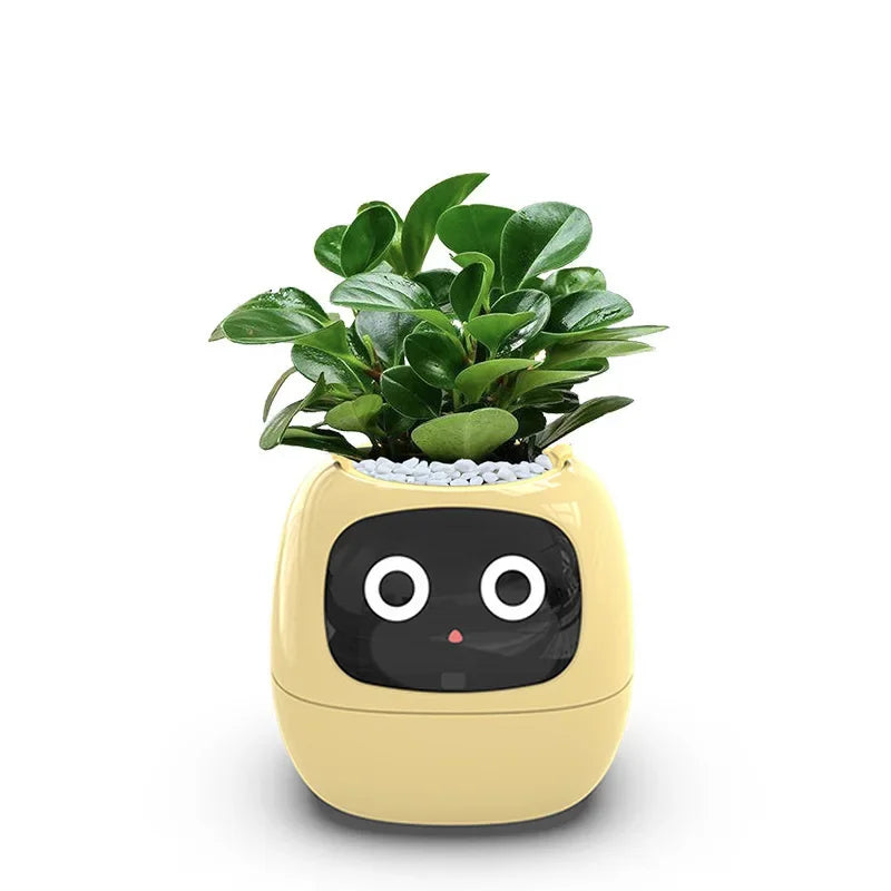 Smart Flowerpots