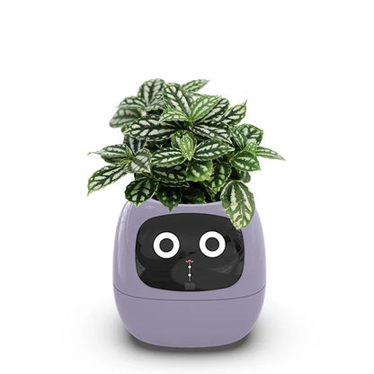 Smart Flowerpots