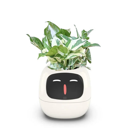 Smart Flowerpots