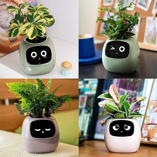 Smart Flowerpots _ cocobear