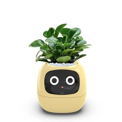 Smart Flowerpots _ cocobear