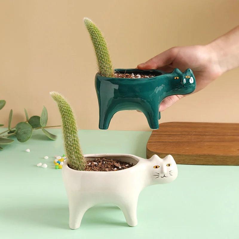 Meow Blooms Pot - cocobear