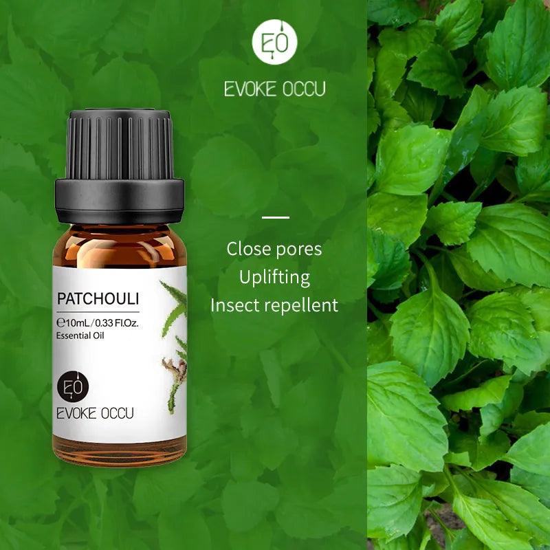 Pure Nature Aroma Essential Oils (10 ml) - cocobear