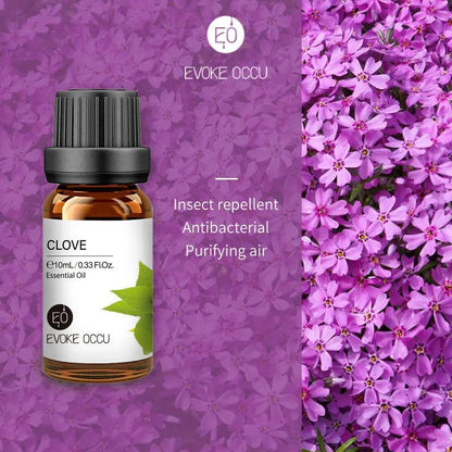 Pure Nature Aroma Essential Oils (10 ml) - cocobear