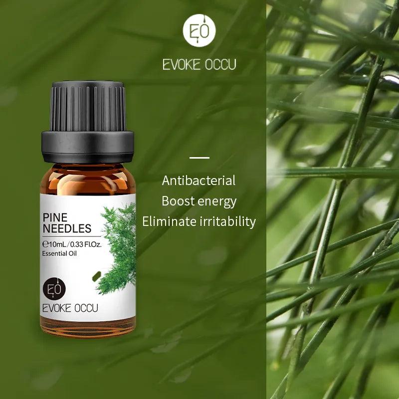 Pure Nature Aroma Essential Oils (10 ml) - cocobear